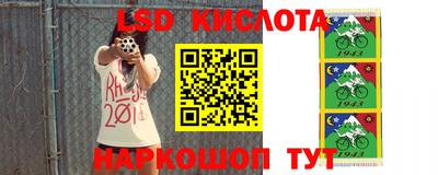 стафф Нальчик