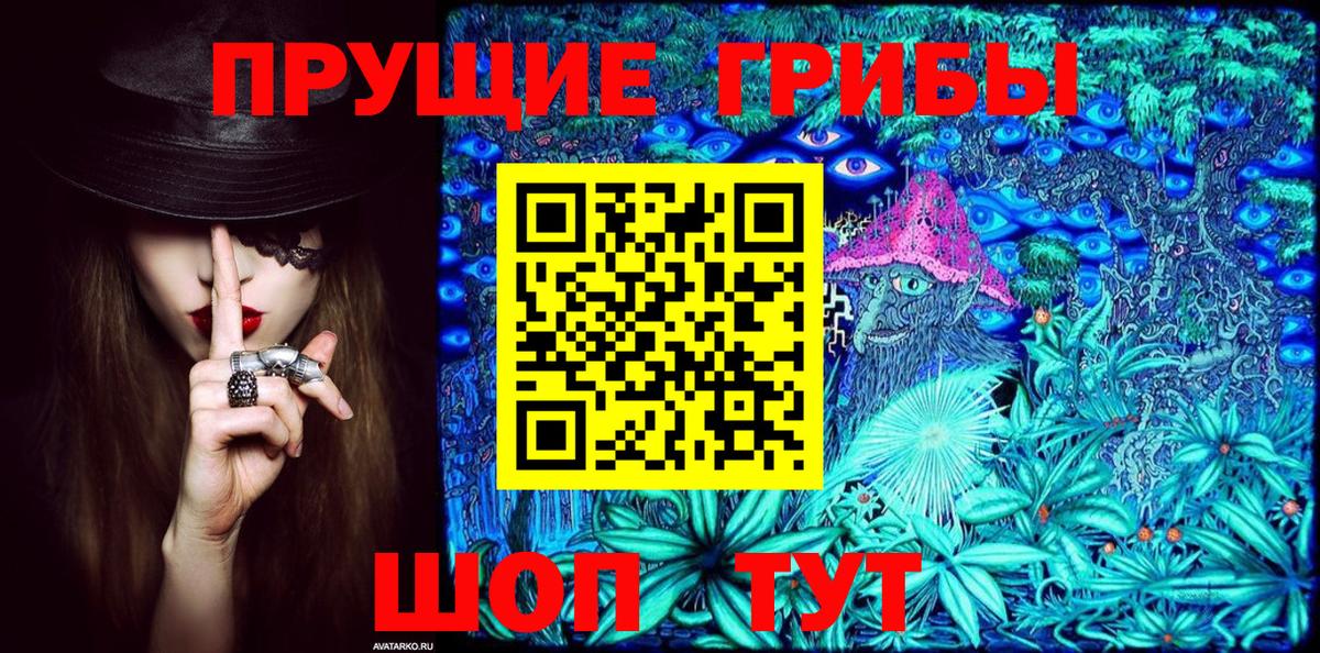 Псилоцибиновые грибы Psilocybine cubensis  Псилоцибиновые грибы GOLDEN TEACHER  Ивантеевка  Вход с VPN 