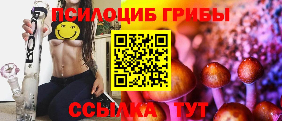 Галлюциногенные грибы Cubensis Ивантеевка